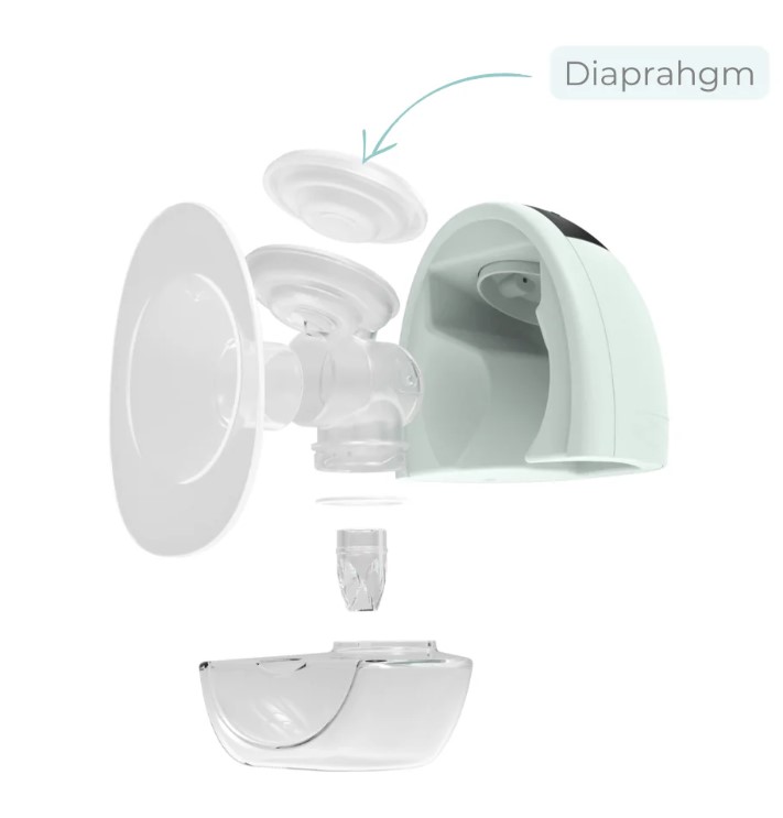 FIT DIAPHRAGMS (SET OF 2)